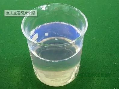 1672559243147589.jpg 360截圖20230101154706077.jpg